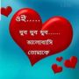Blbul