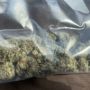 Frbud420