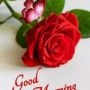 Rupa