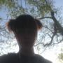 Emva