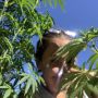 maryjane11240