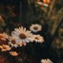 user_817263