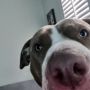 user_927373