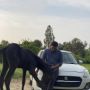 Neel Patel