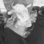 shy  raq