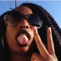 Lastonerchick