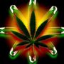 420forlife