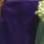 CarolY