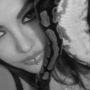 Canna_Lily