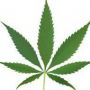 MARYJBLAZE420