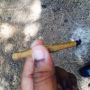 Devan Morris