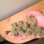 Al Blunt