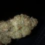 linkmeforweed