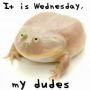 weedgoblin69420666