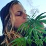 stonedamericanmom
