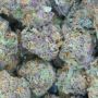 Mrs420
