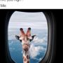Vicdabs