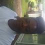 Shavon