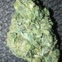 Dopeasstw1nn
