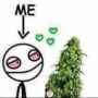 Hightimes420247