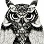 Nightowl7