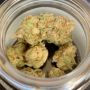 Needa_plugg420