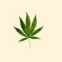 gina420xo
