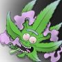 WildWeedFlower