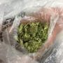Erica420