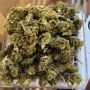 Roddyweed37