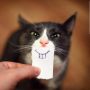 Smiling